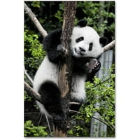 Търговска марка изобразително изкуство гигантска панда ИИ платно изкуство от Филип Хюгонар