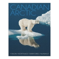Канадска Арктика, полярна мечка и размисъл