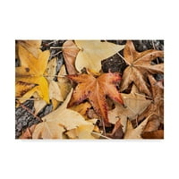 Паднали листа оранжеви есенни платна от Лори Хътчисън