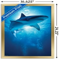 Плакат За Стена От Акули - Дълбочини, 14.725 22.375