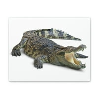 Крокодил лов на крокодил на лов за печат на животни стена изкуство диви животни платно отпечатъци стена изкуство готово да виси